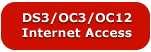DS3/OC3/OC12 Internet Access